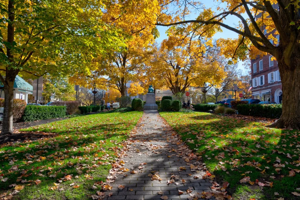 autumn outdoors in palmer square