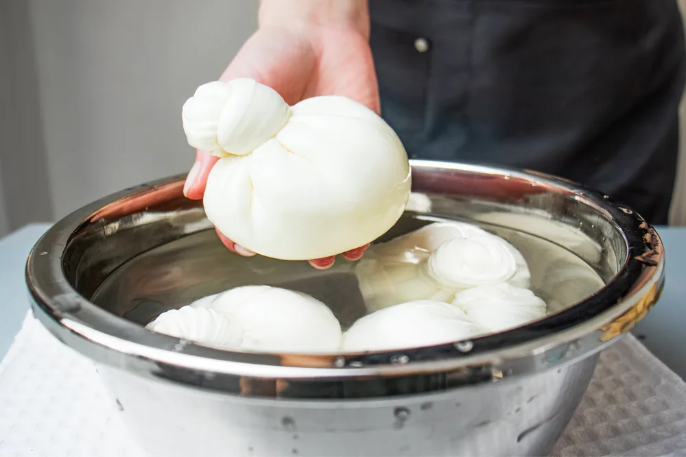 burrata making class photo