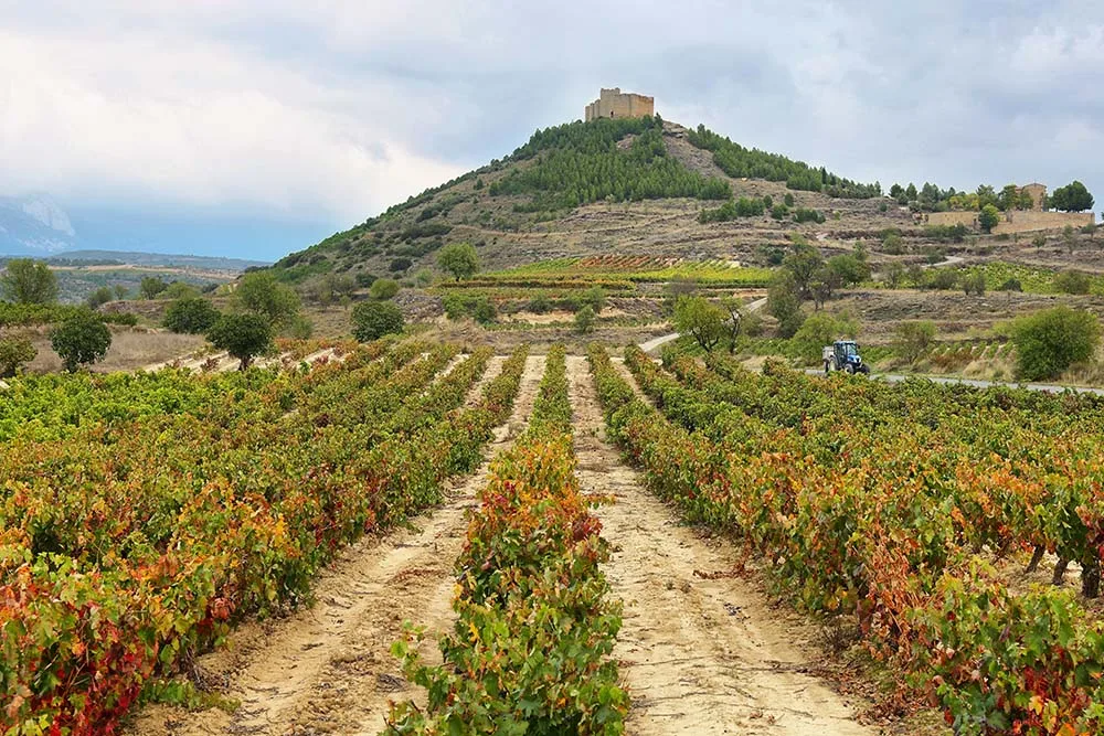 mediterra spain wine tasting cover photo