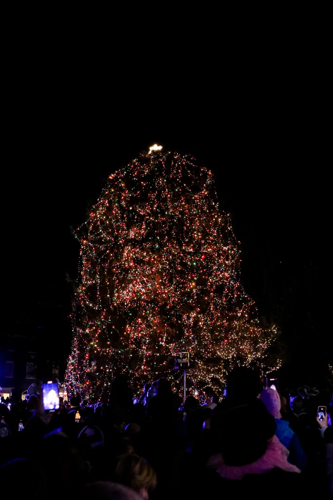 2024 annual tree lighting tree