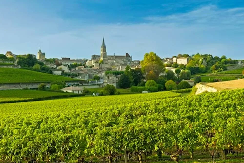 mediterra 9.16 tasting