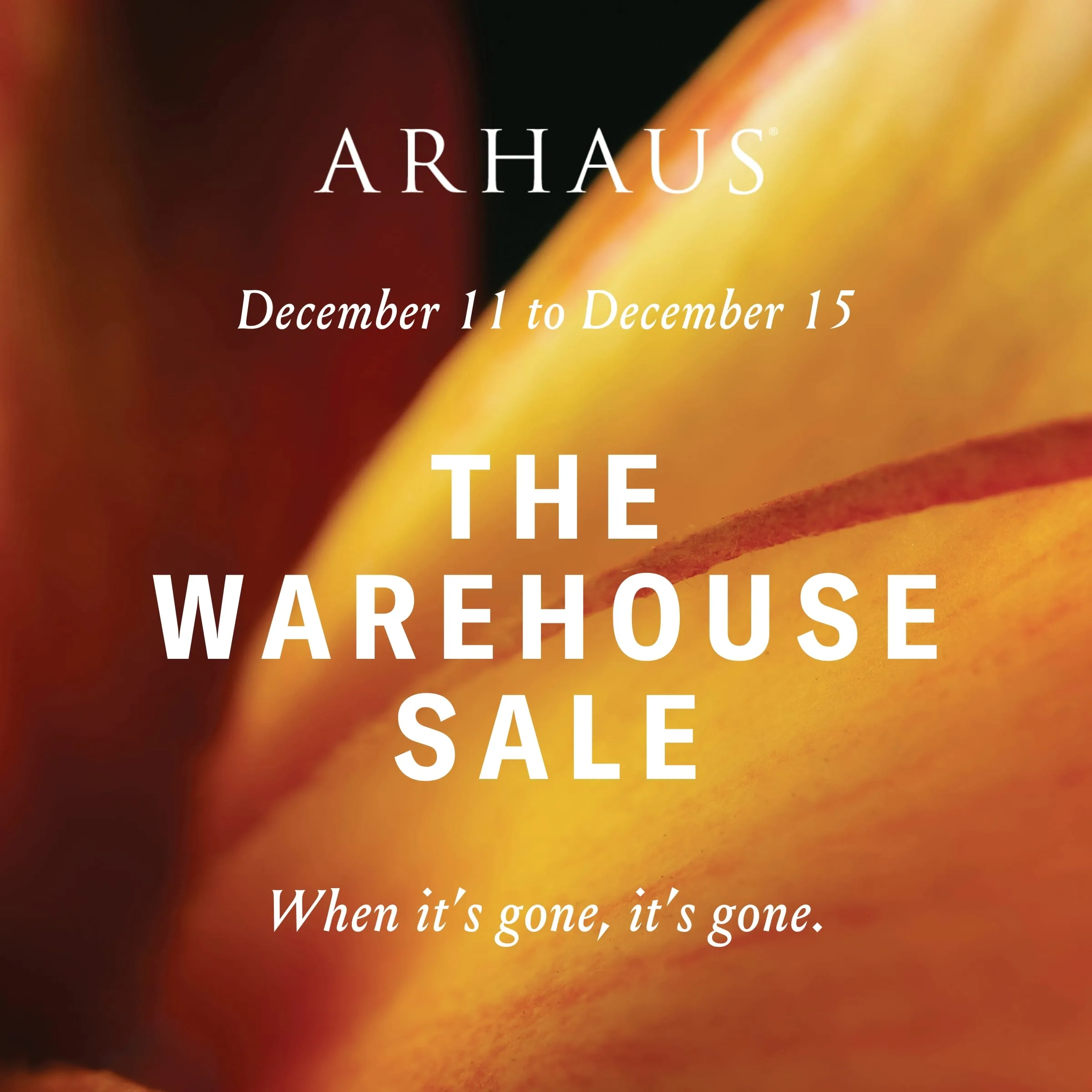 12.11.25 12.15.25 arhaus warehouse sale 