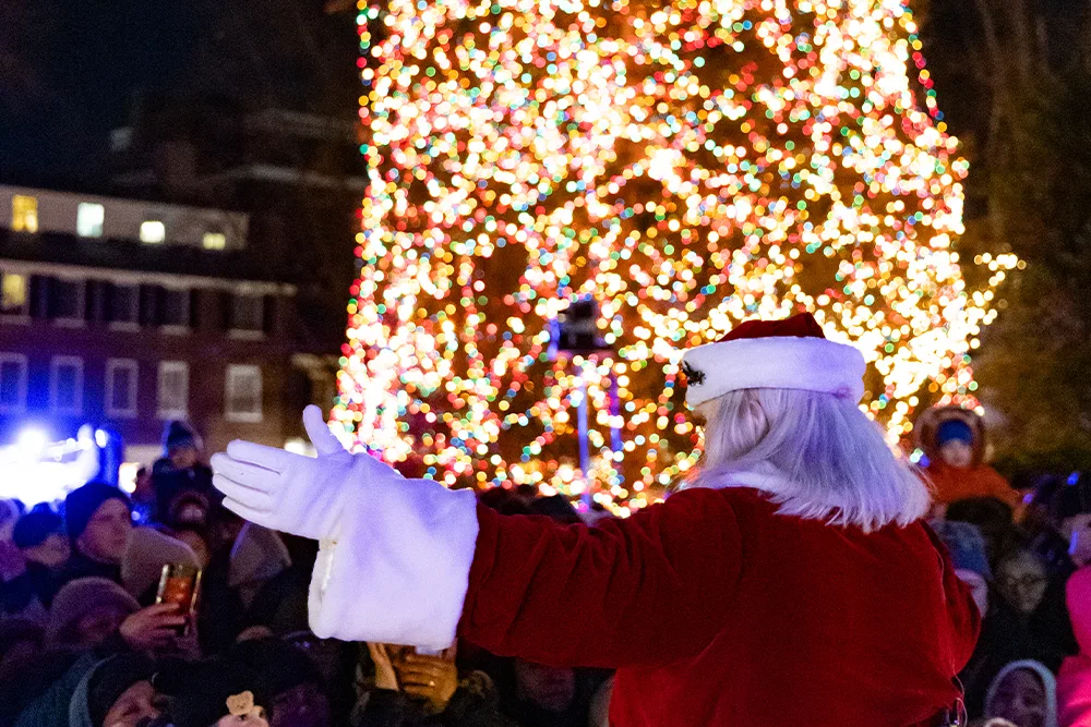 Palmer Square Annual Tree Lighting