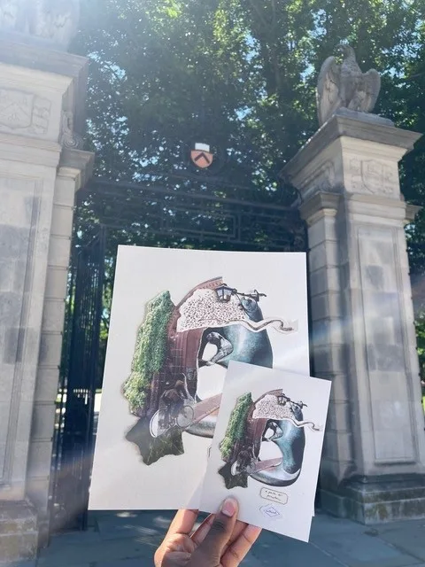 framebridge simone cotton