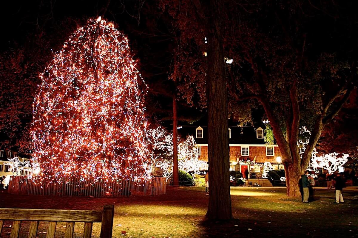 nighttime on The Green at Palmer Square, the 64 foot spruce tree is lit with 32,000 lights