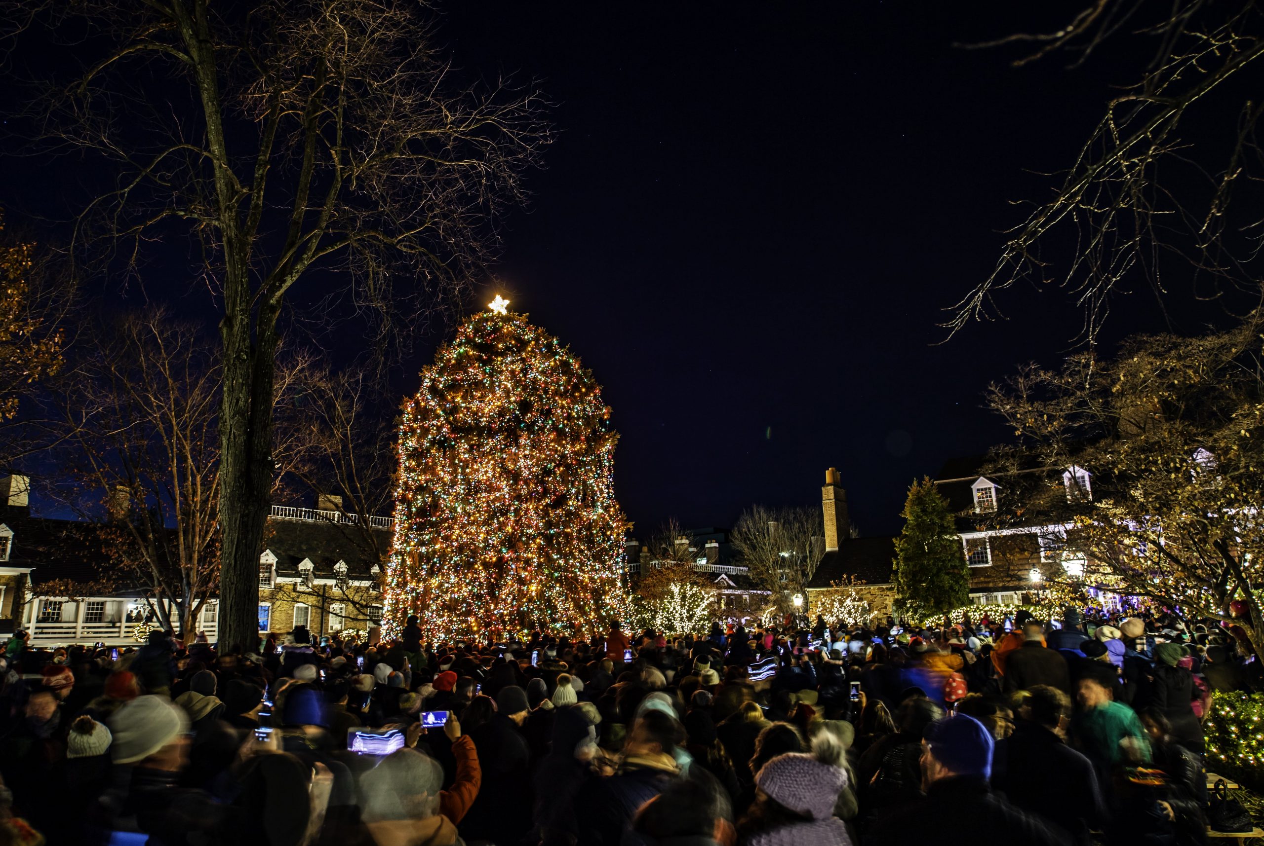 Crowd around large lit Christmas tree