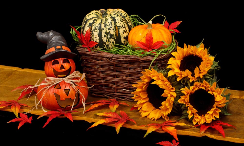 mini pumpkins, sunflowers and basket of gourds