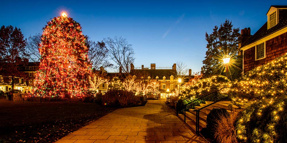 outside, luminous lights cover the 64 foot spruce tree and bushes all along Palmer Square